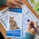 WhatsApp Image 2025-04-08 at 17.09.59