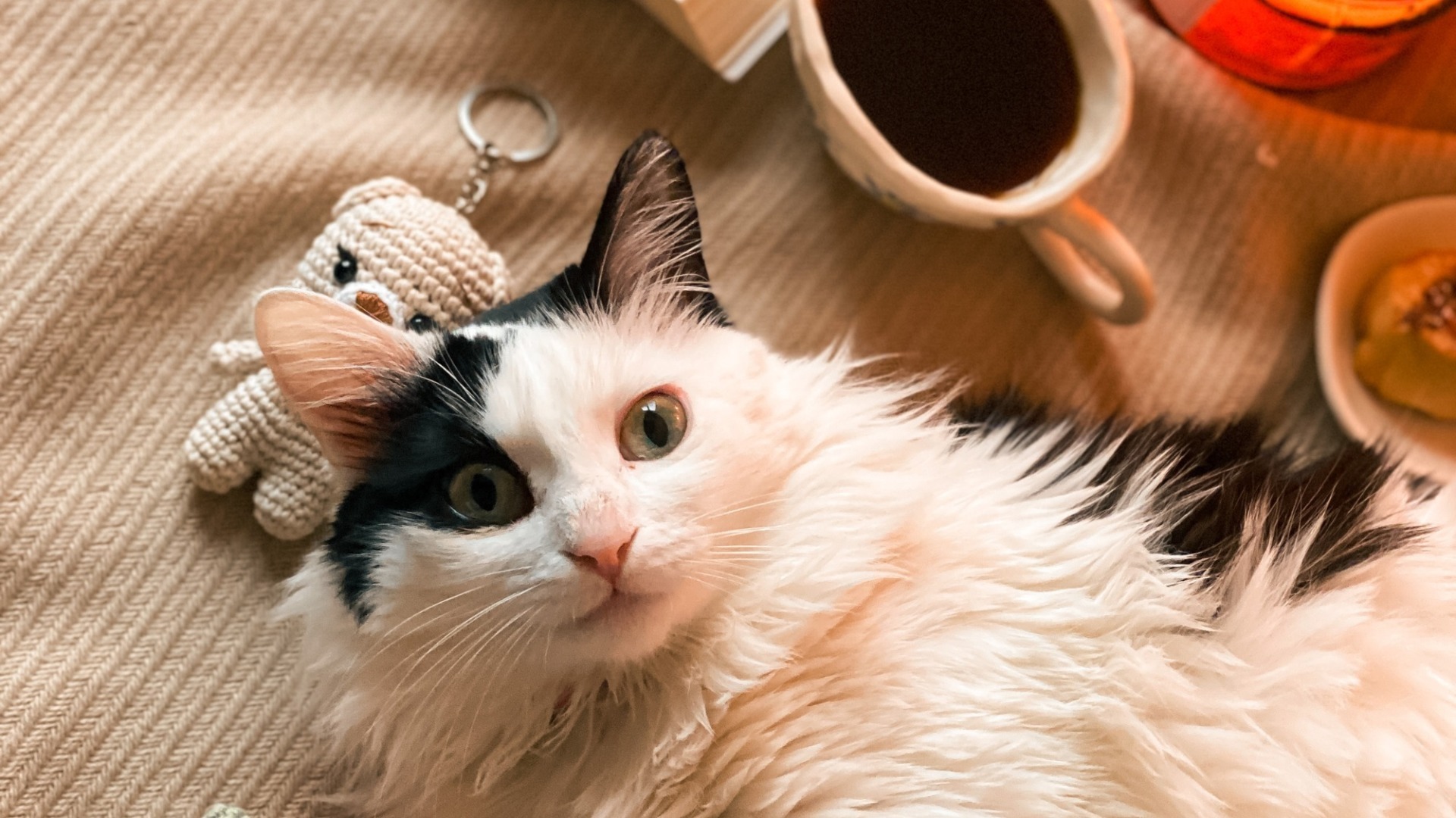 O pisică stă întinsă lângă un breloc și o ceașcă de cafea.