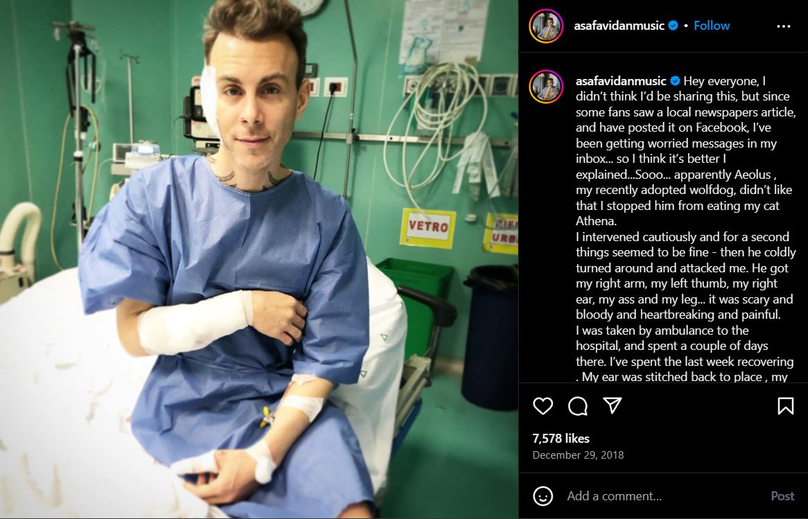 Postarea de pe Instagram în care Asaf Avidan povestește cum a fost atacat de câinele lui lup cehoslovac.