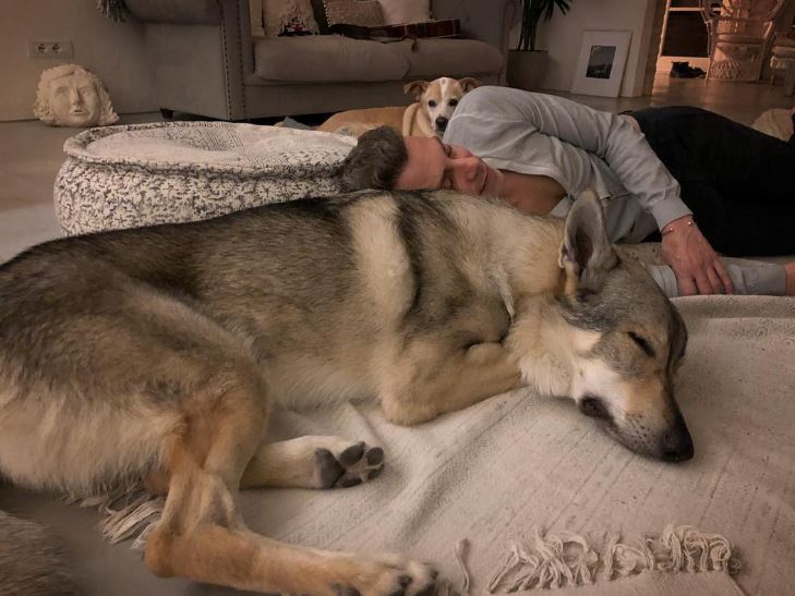 Asaf Avidan și câinele său lup cehoslovac într-o poză pe Instagramul cântărețului. 