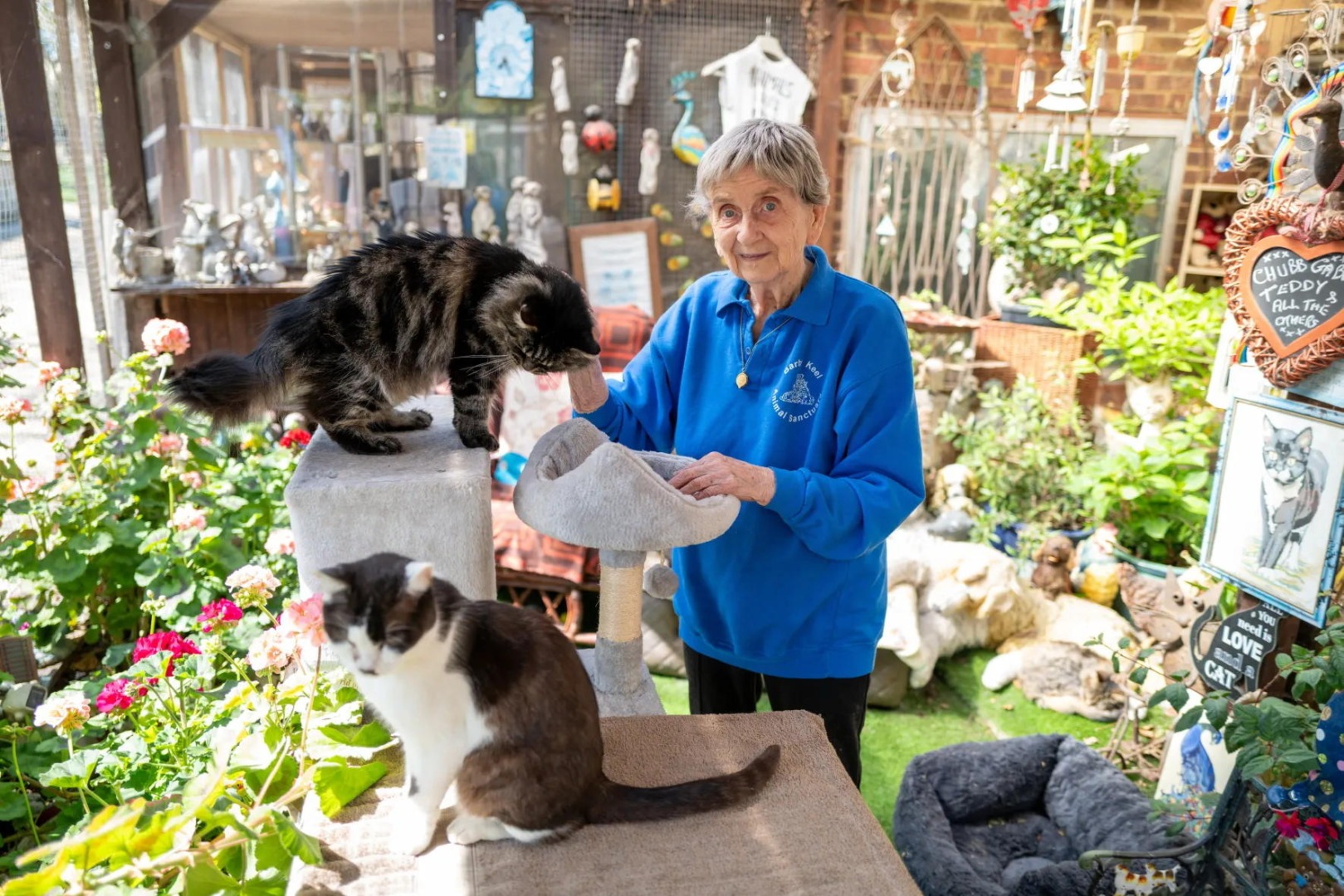 Barby Keel, eroina necuvântătoarelor, alături de câteva animale pe care le-a salvat.