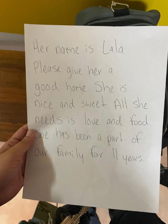 Biletul emoționant care era atașat de cușca pisicii Lala, care a fost abandonată în fața centrului de animale din Florida.