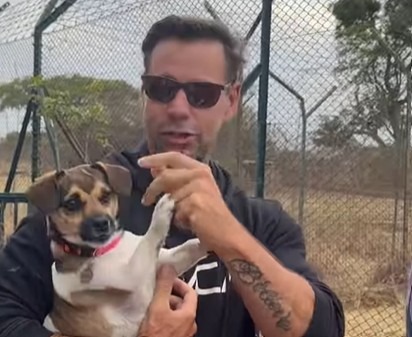 Un cățel ținut în brațe de stăpânul său.