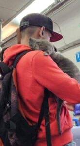 Un câine ținut în brațe de stăpânul lui.