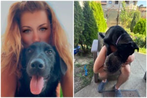 Colaj cu CIuli și stăpânii ei