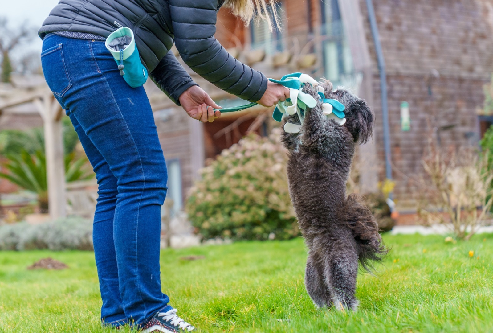 Stăpâna unui câine de talie mică încearcă să îl dreseze.