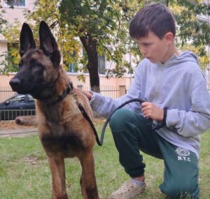 copil alaturi de caine malinois