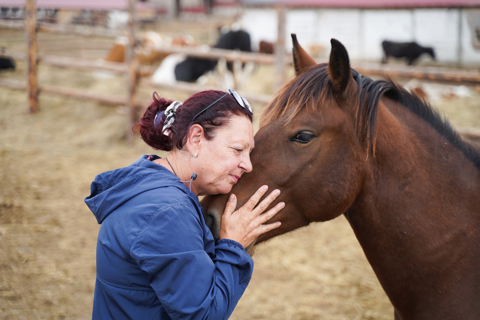 Daniela Popovici, Asociația pentru Protecția Animalelor Măriuța, alături de un cal salvat.