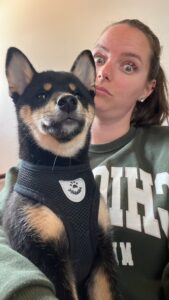 karma-catelusa-shiba-inu-pui-culoare-neagra-staptana