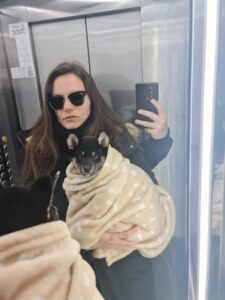 karma-catelusa-shiba-inu-pui-culoare-neagra-staptanav