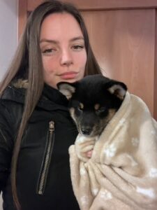 karma-catelusa-shiba-inu-pui-culoare-neagra-staptanavv