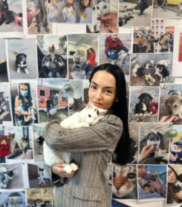 Motanul Willy, mascota Protecției Animalelor Ilfov, ținut în brațe de o angajată a instituției