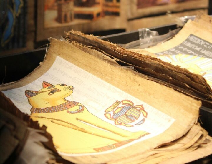 Pisica zeitate în Egiptul antic, desenată pe o coală de hârtie tip pergament.