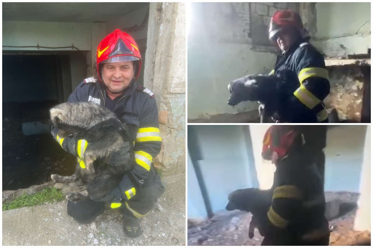Colaj cu catelul negru tinut in brațe de pompierul care l-a salvat dintr-o cladire abandonata