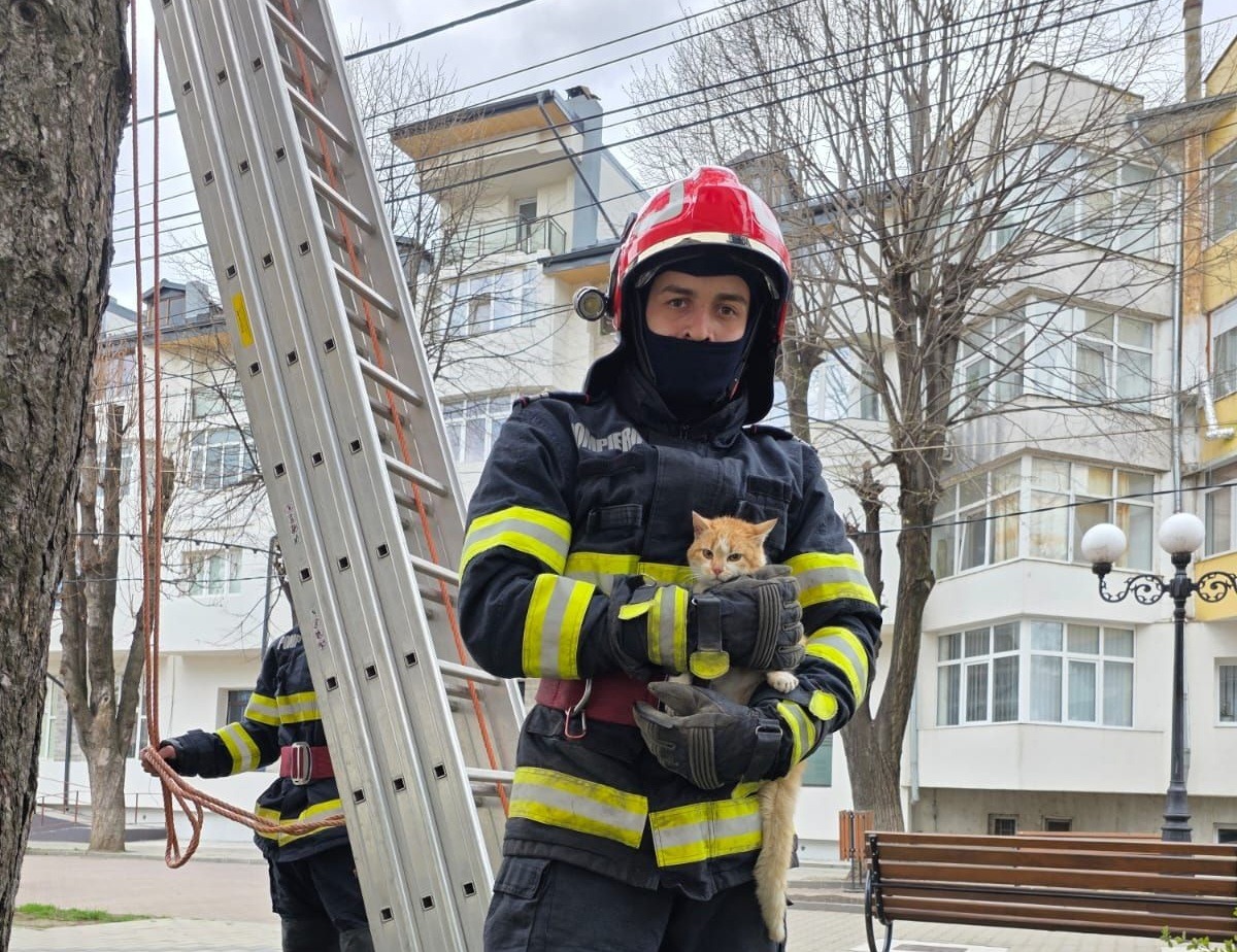 Un pompier ține în brațe pisica pe care a salvat-o dintr-un copac