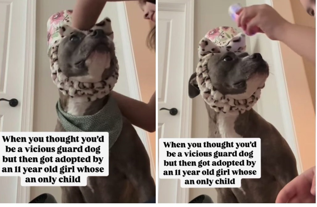 sursa foto: Instagram / Emily_janeblog