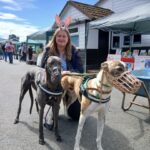 491940468_1065672775589598_2744802517122111161_n