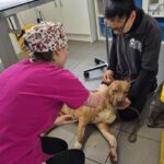 492705200_1069123018577907_5102224670626182379_n