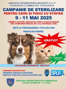 Afiș campanie sterilizări gratuite.