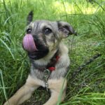 495339181_1036313411987129_5217624235807022954_n