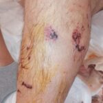 495372840_1558182281769030_8311397422851876419_n