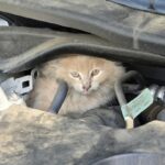 495590181_1092373046265390_5175258097977373085_n