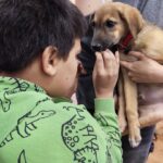 495608003_1035518908733246_6154436819077128282_n