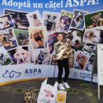 495620782_1036313108653826_3131581172939381939_n