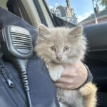 495638618_1092373049598723_3686292262689181982_n