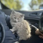 496003982_1092372892932072_5149773260212619708_n