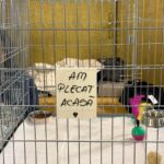 496006572_709494428113852_2172798768394951688_n