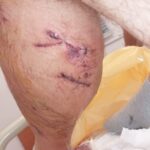 496533868_1558182388435686_4791958852724419613_n