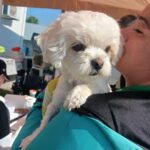 497659022_1109985264492798_2791372686271289432_n