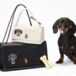 Un cățel stă lângă două genți.