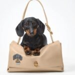 Bark-Jacobs-genti-personalizate1