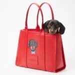 Bark-Jacobs-genti-personalizate2