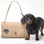 Bark-Jacobs-genti-personalizate4