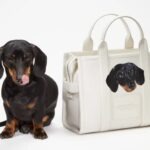 Bark-Jacobs-genti-personalizate6