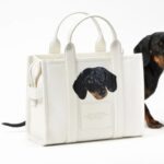 Bark-Jacobs-genti-personalizate7