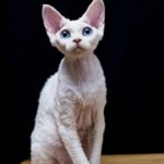 WhatsApp Image 2025-05-07 at 14.14.06