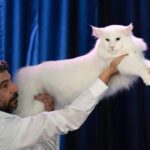 WhatsApp Image 2025-05-07 at 14.14.06 (2)