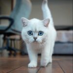 WhatsApp Image 2025-05-07 at 14.14.06 (5)