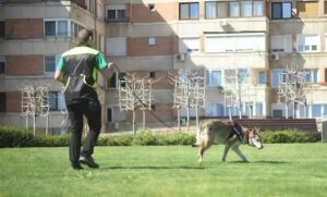 Câine utilitar împreună cu dresorul lui.