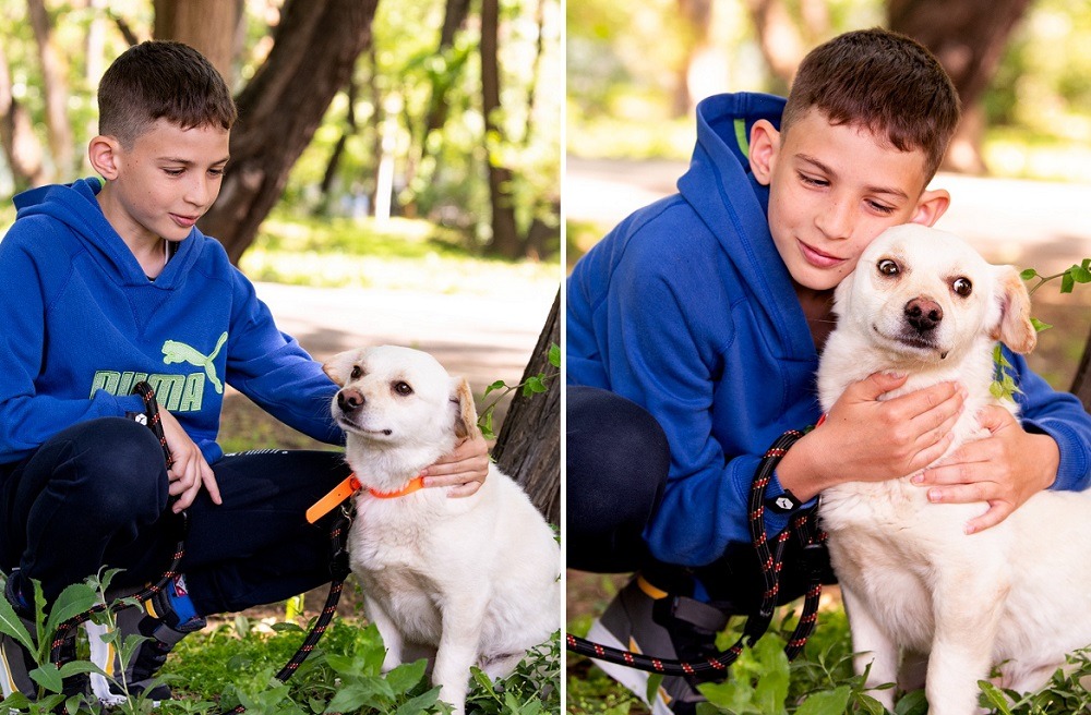 cainele Toto si Alex