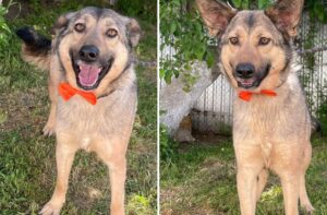 catelusa Lia de la ASPA