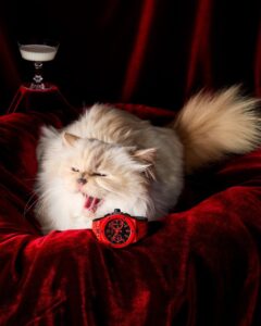 Pisică așezată lângă un ceas roșu.