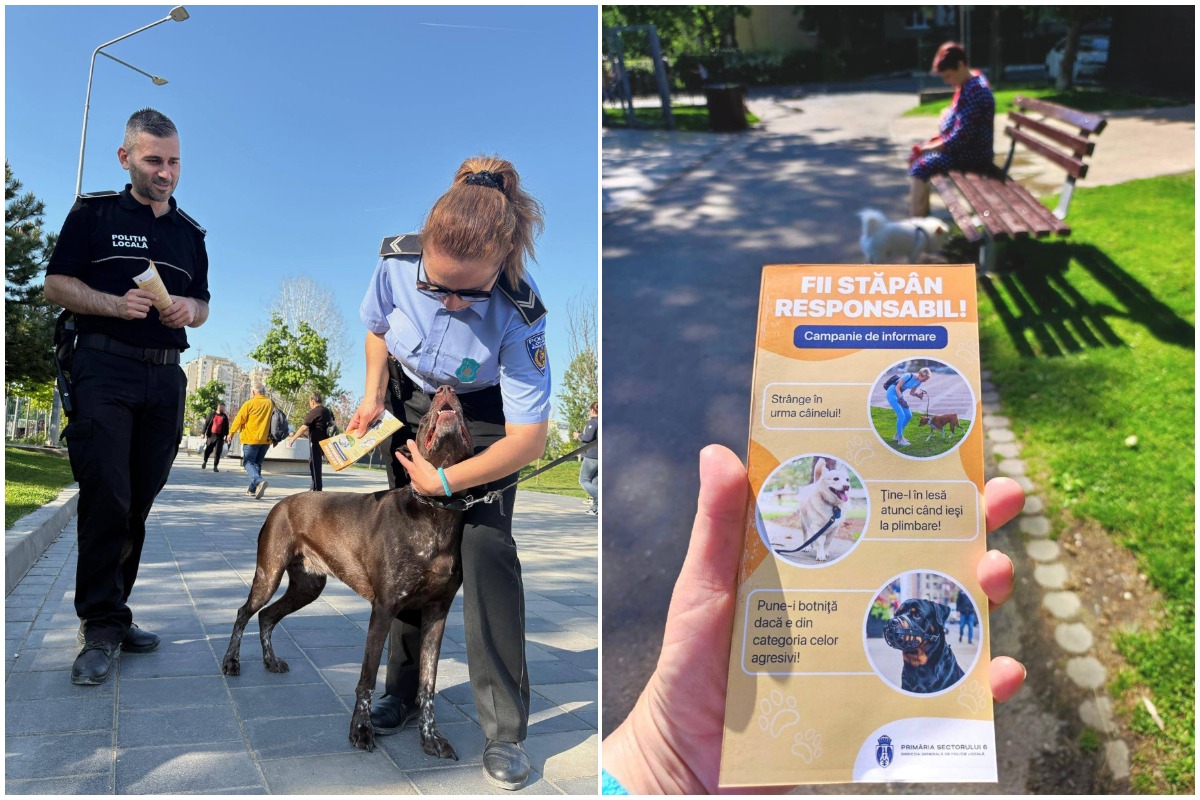 Colaj cu o polițistă și un câine și un pliant cu titlul „Fii un stăpân responsabil”
