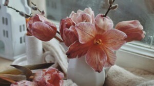 Crinul de cameră, plantă toxică pentru păsări.