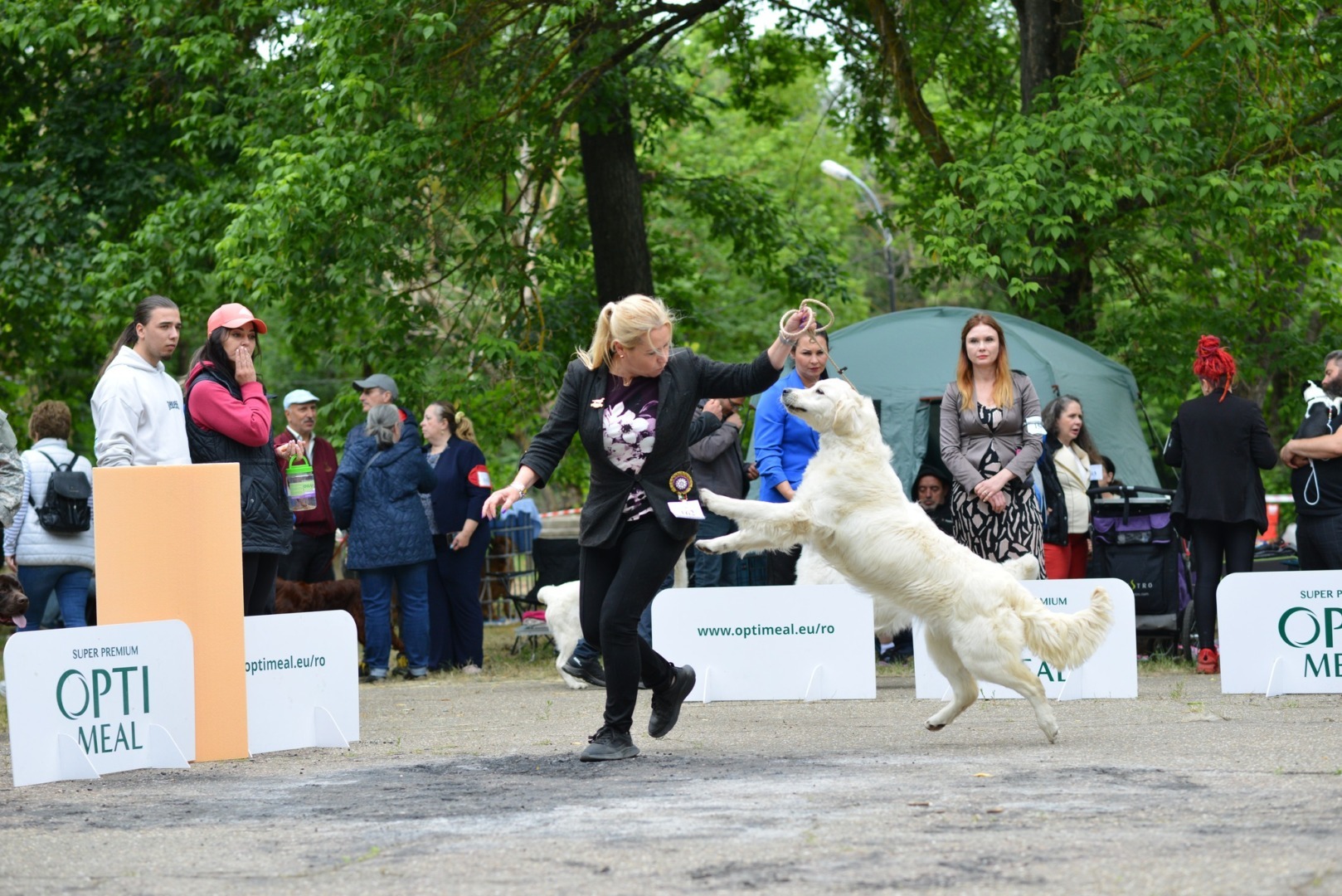 Un câine și stăpâna lui în proba unei competiții