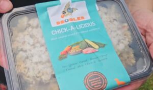 Caserolă cu mâncare gătită pentru căței